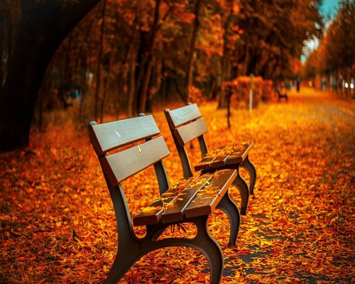 Person resting comfortably on a park bench in Santiago during autumn